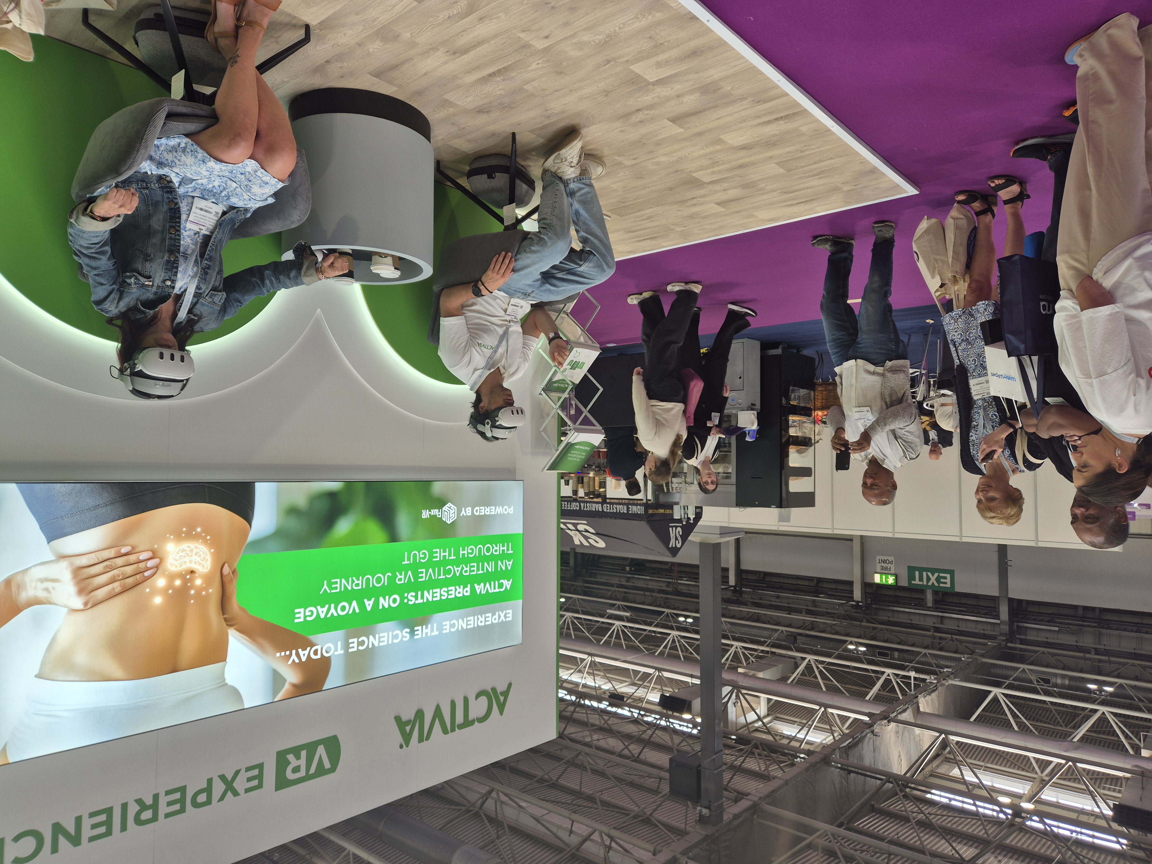 Exhibition setup